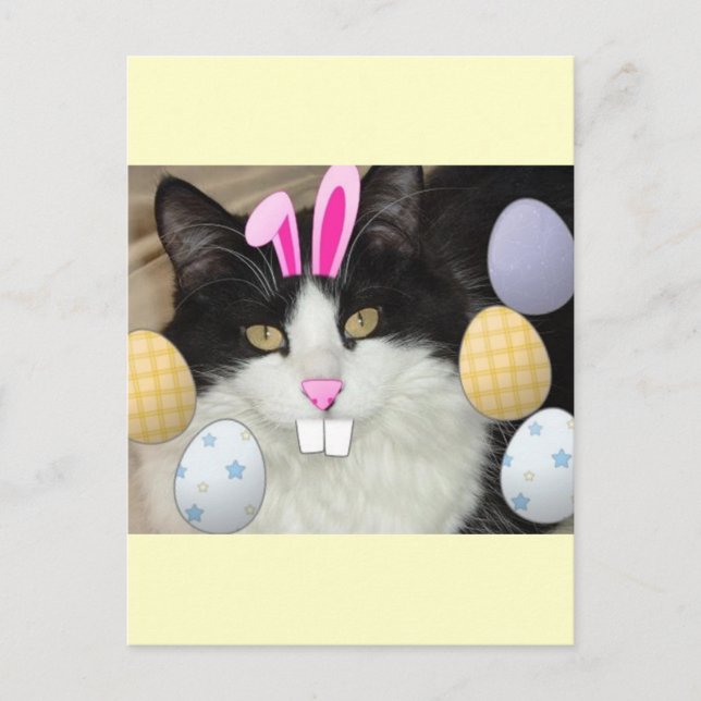 Cartão Postal De Festividades Gato de Gatinho Preto e Branco páscoa (Frente)