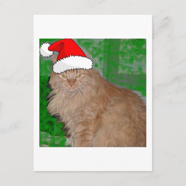 Cartão Postal De Festividades Gato de Gato de Gato de Tabby de Laranja Natal (Frente)