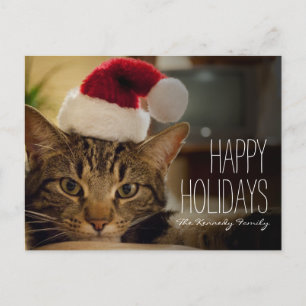 Cartão Postal De Festividades Gato de gato malhado de cabelos curtos de Brown