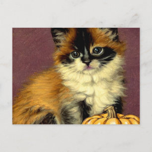 Cartão Postal De Festividades Gato de Halloween Vintage Ragdoll