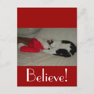 Cartão Postal De Festividades Gato de Kitty de Natal