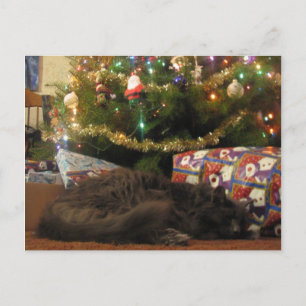 Cartão Postal De Festividades Gato de Natal