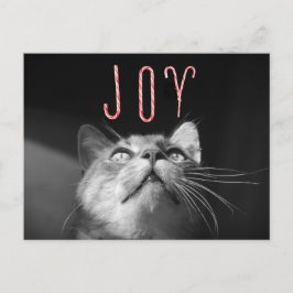 Cartão Postal De Festividades Gato de Natal Adorável