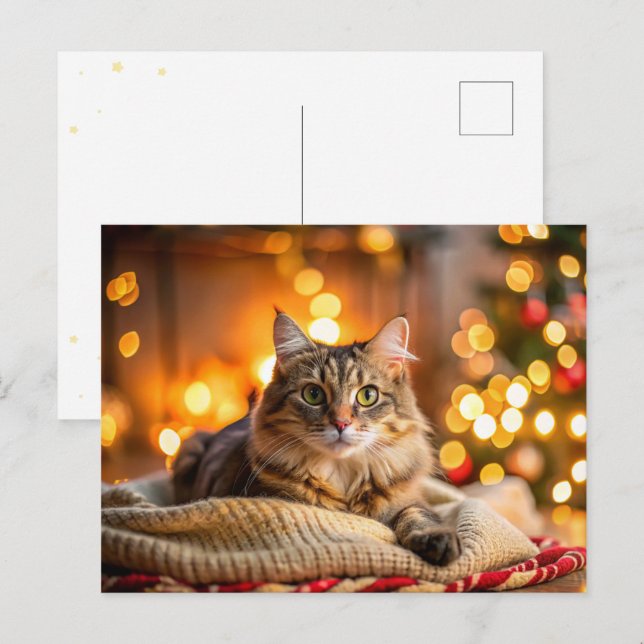 Cartão Postal De Festividades Gato de Natal bonito (Frente/Verso)