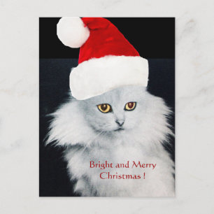 CARTÃO POSTAL DE FESTIVIDADES GATO DE NATAL BRANCO COM CHAPÉU DE SANTA CLAUS