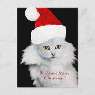CARTÃO POSTAL DE FESTIVIDADES GATO DE NATAL BRANCO COM CHAPÉU DE SANTA CLAUS