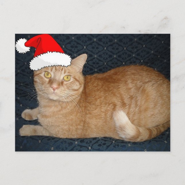 Cartão Postal De Festividades Gato de Tabby Laranja Natal (Frente)