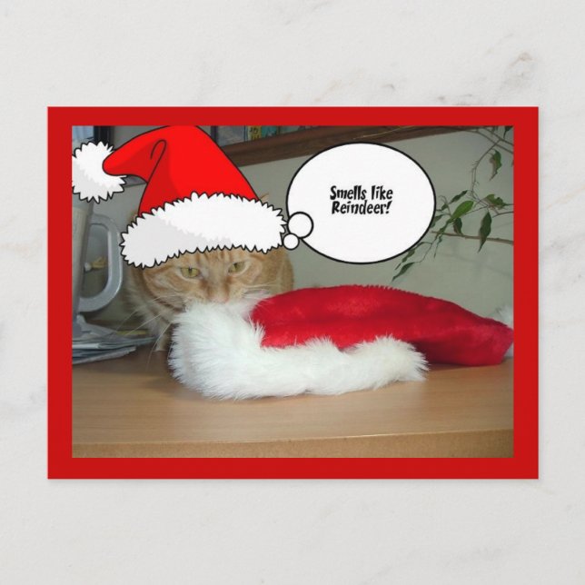 Cartão Postal De Festividades Gato de Tabby Laranja Natal (Frente)
