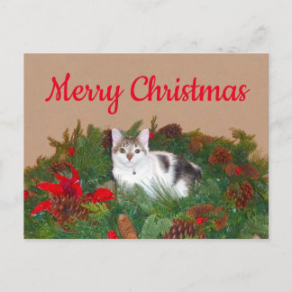 Cartão Postal De Festividades Gato em wath com cartão de Natal