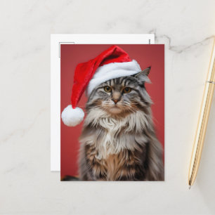 Cartão Postal De Festividades Gato Festivo Maine Coon com Chapéu de Natal