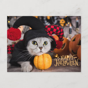 Cartão Postal De Festividades Gato Fofo em Fantasia Divertida de Halloween