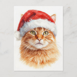 Cartão Postal De Festividades Gato Laranja Adorável com Chapéu de Papai Noel