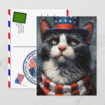 Gato Listrado Pata Felino EUA Dia da Independência