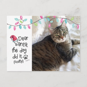 Cartão Postal De Festividades Gato Malandro Carta Divertida Querido Papai Noel N
