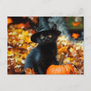 Cartão Postal De Festividades Gato Negro e Abóbora do Halloween