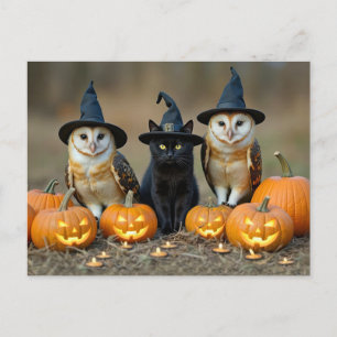 Cartão Postal De Festividades Gato Negro e Coruja do Halloween