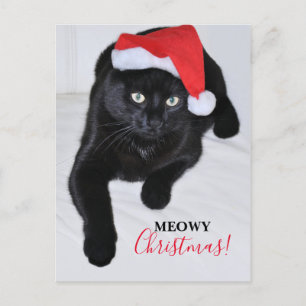 Cartão Postal De Festividades Gato preto com o chapéu vermelho do papai noel