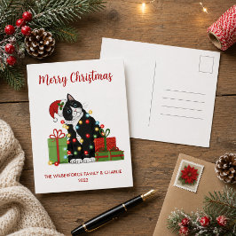 Cartão Postal De Festividades Gato Preto Engraçado e Luzes de Natal Natal