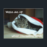 Cartão Postal De Festividades Gato Sonolento em Santa Hat<br><div class="desc">O gatinho cansado e rabugento está farto de festividades e barulhentas e quer dormir através de tudo.</div>