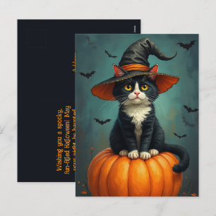 Cartão Postal De Festividades Gato Tuxedo De Bruxa De Halloween Numa Pumpkin