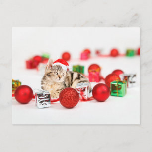 Cartão Postal De Festividades Gato usando enfeite de Natal chapéu vermelho de Pa