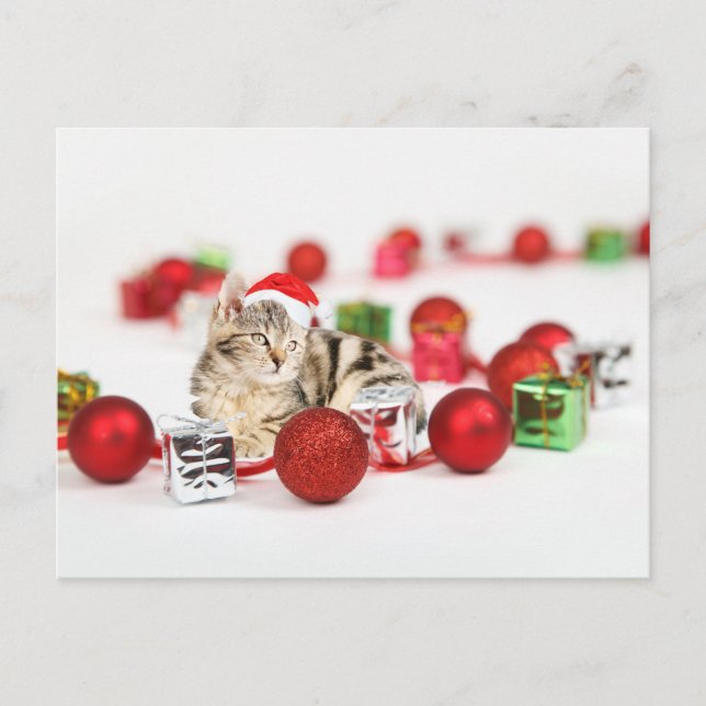 Cartão Postal De Festividades Gato vestindo Enfeites de natal de chapéu vermelho (Frente)