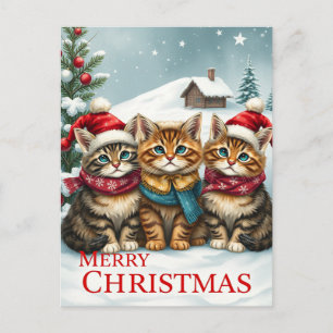 Cartão Postal De Festividades Gatos com Roupas Elegantes de Inverno e Chapéus Na