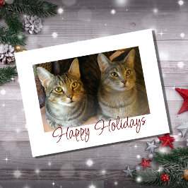 Cartão Postal De Festividades Gatos de Natal Animais de Estimação Fofos Tipograf