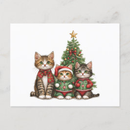 Cartão Postal De Festividades Gatos de Natal bonitos