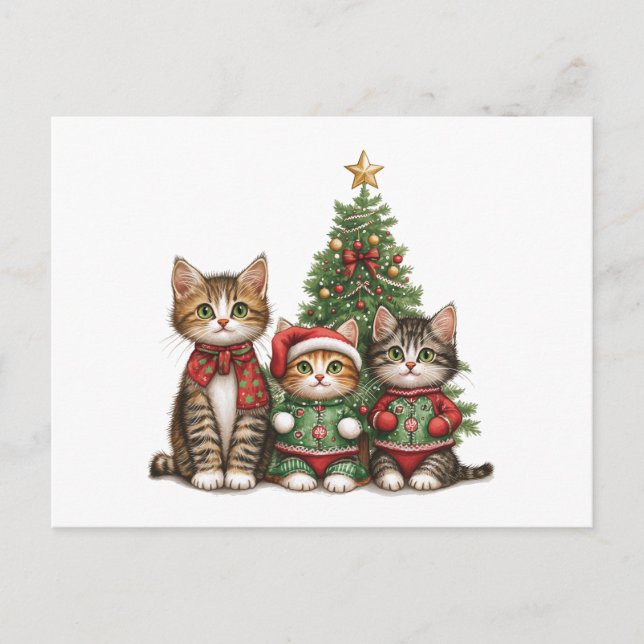 Cartão Postal De Festividades Gatos de Natal bonitos (Frente)