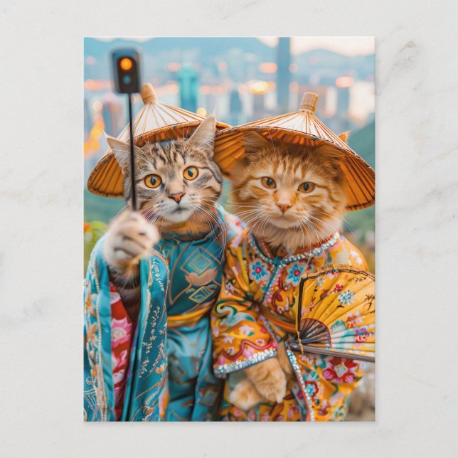 Cartão Postal De Festividades Gatos em roupas chinesas tradicionais (Frente)