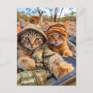 Cartão Postal De Festividades Gatos Explorando o Interior Australiano