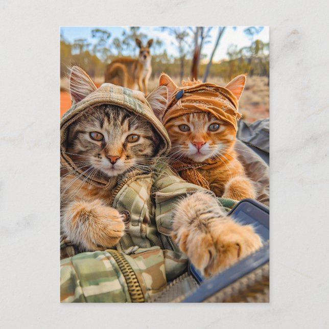 Cartão Postal De Festividades Gatos Explorando o Outback Australiano (Frente)