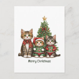 Cartão Postal De Festividades Gatos Felizes De Natal