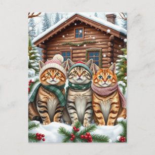 Cartão Postal De Festividades Gatos Listrados com Roupas de Inverno Elegantes e