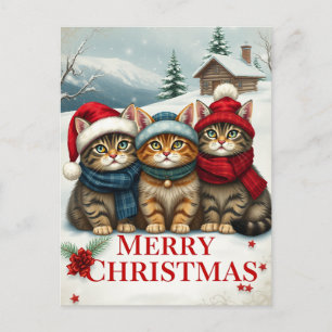 Cartão Postal De Festividades Gatos no Natal de Papoilas e Chapéus