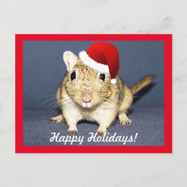 Cartão Postal De Festividades Gerbil do papai noel (Frente)