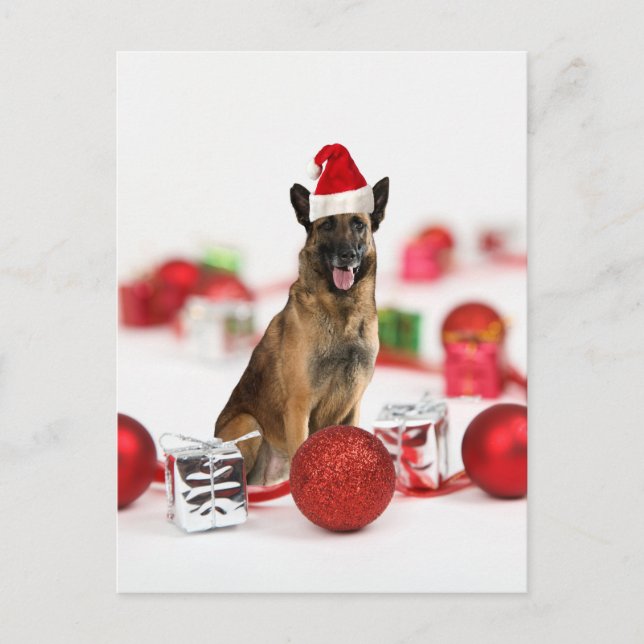 Cartão Postal De Festividades German shepherd com presentes de Natal Papai Noel (Frente)