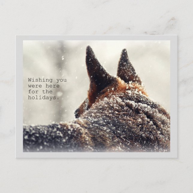 Cartão Postal De Festividades German shepherd de Férias (Frente)