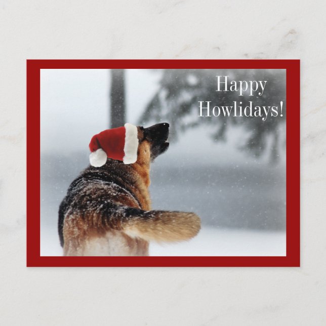 Cartão Postal De Festividades German shepherd de Férias (Frente)