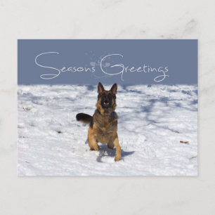 Cartão Postal De Festividades German shepherd de saudações de Seasons no Cartão-