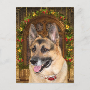 Cartão Postal De Festividades German shepherd Natal