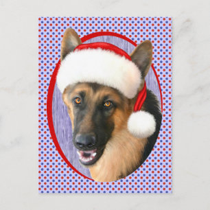 Cartão Postal De Festividades German shepherd Natal Santa Hat