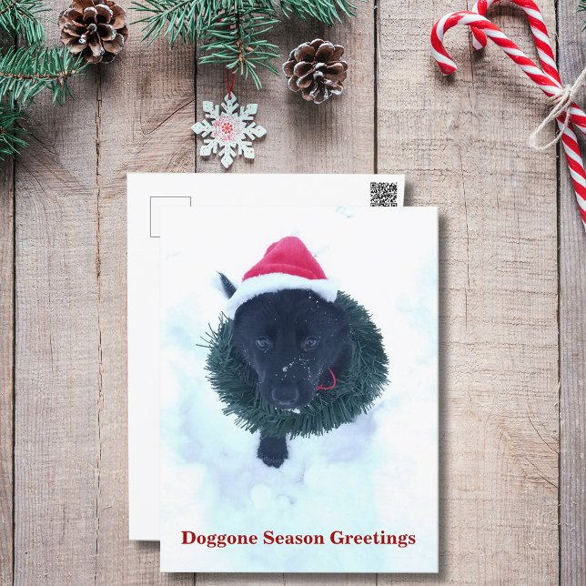 Cartão Postal De Festividades German shepherd Negro Puppy Fora de Natal (Black German Shepherd Puppy Christmas Wreath Holiday Postcard)