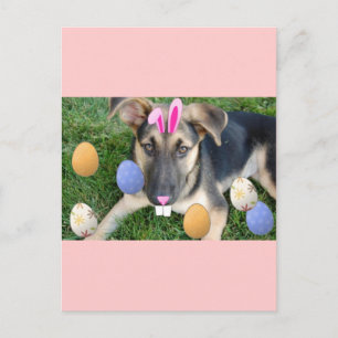 Cartão Postal De Festividades German shepherd Páscoa Puppy