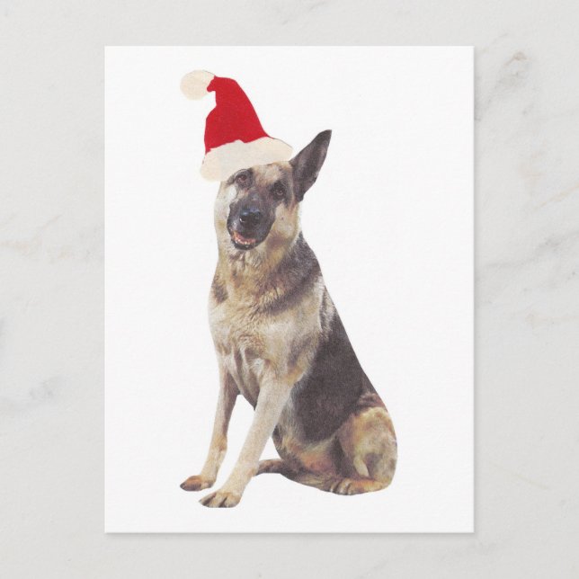 Cartão Postal De Festividades German shepherd Santa Hat (Frente)
