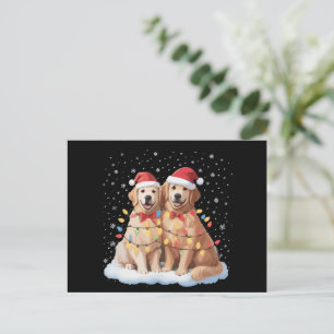 Cartão Postal De Festividades Golden Retriever Natal Chapéu do Papai Noel Rena
