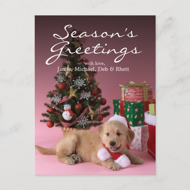 Cartão Postal De Festividades Golden Retriever Puppy and Christmas 3 (Frente)