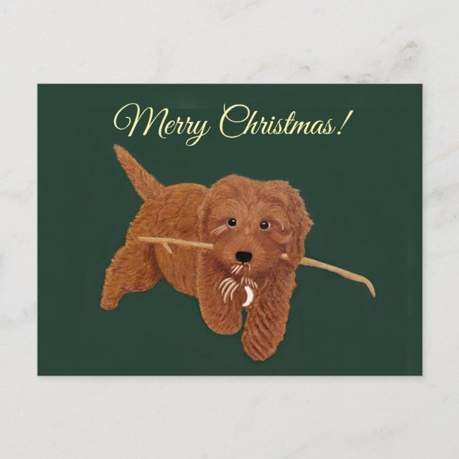 Cartão Postal De Festividades Goldie Doodle (Frente)