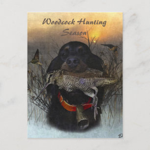 Cartão Postal De Festividades Gordon Setter